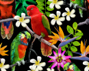 Oiseaux exotiques et fleurs tropicales