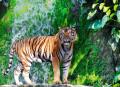 Tigre du Bengale près de la cascade