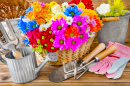 Jardinage et décoration avec des fleurs