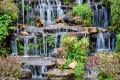 Cascades dans le jardin