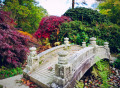 Pont dans un jardin Japonais