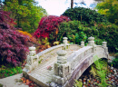 Pont dans un jardin Japonais