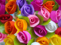 Papier de roses colorées