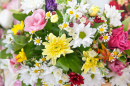 Bouquet de marguerites et de chrysantèmes