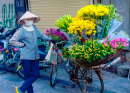Vendeur de fleurs à Hanoi, Vietnam