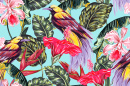 Exotic Birds and Flowers