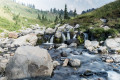 Cascades et ruisseau, Myrtle, Parc National de Mont Rainier