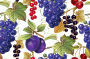Raisins, prunes, cerises et baies