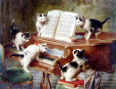Le récital des chatons