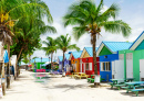 Ile de la Barbade, Iles Caraïbes