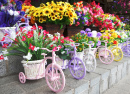 Fleurs dans des pots bicyclettes
