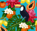 Toucan et fruits exotiques