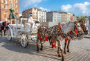 Horse Carriages, Krakow, Poland