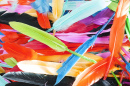 Plumes colorées