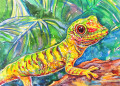 Lézard à l'aquarelle
