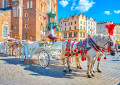 Attelage de chevaux, Cracovie, Pologne