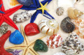 Etoiles de mer et coquillages