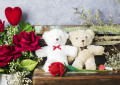 Couple d'ours en peluche