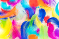 Plumes colorées