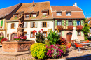 Kintzheim, Route des vins d'Alsace, France