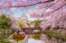 Château de Himeji au printemps, Japon