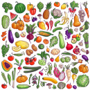 Assortiment de fruits et légumes
