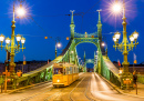 Pont de la liberté à Budapest, Hongrie