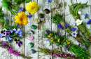 Herbes, fleurs et cristaux