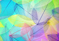 Squelette Feuilles