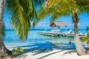 Belize Cayes, Mer des Caraïbes
