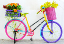 Fleur Vélo