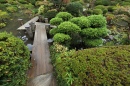 Jardin de style traditionnel japonais