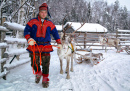 Sámi Man with Reindeer in Lapland