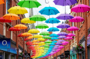 Umbrella Street, Durham, Royaume-Uni
