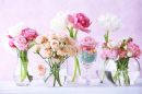 Fleurs de printemps dans des vases en verre