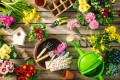 Outils de jardinage et fleurs de printemps
