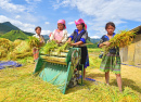 Rice Farmers in Laocai, Vietnam