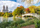 Bow Bridge, Central Park de New York