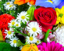 Bouquet de fleurs mélangées