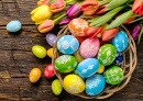Œufs de Pâques et tulipes