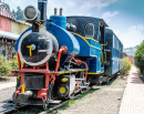 « Toy Train » Darjeeling Railway, Inde
