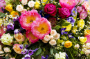 Bouquet de fleurs brillantes