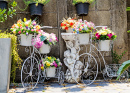 Vélos à fleurs