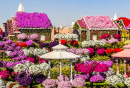 Miracle Flower Garden à Dubaï