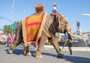 Surin Elephant Round-Up Festival, Thaïlande