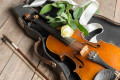 Violon et Rose