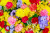Arrangement floral coloré