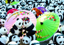 Pandas World Tour, Chiangmai, Thaïlande