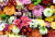 Mur de fleurs
