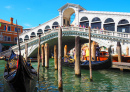 Grand Canal et pont du Rialto à Venise